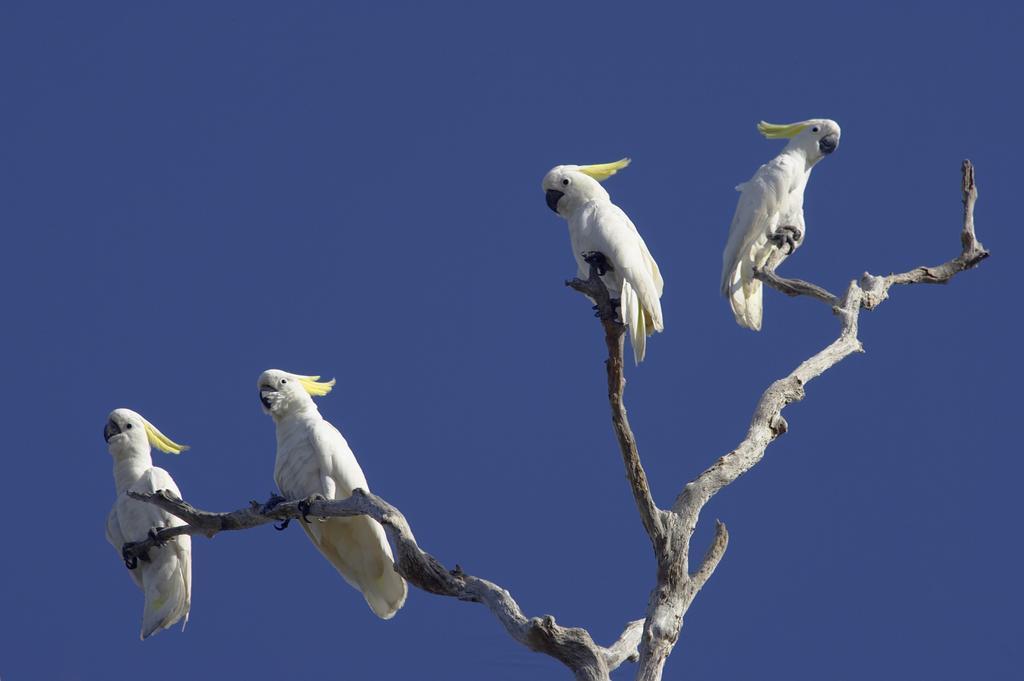Bamurru Plains Point Stuart Luaran gambar