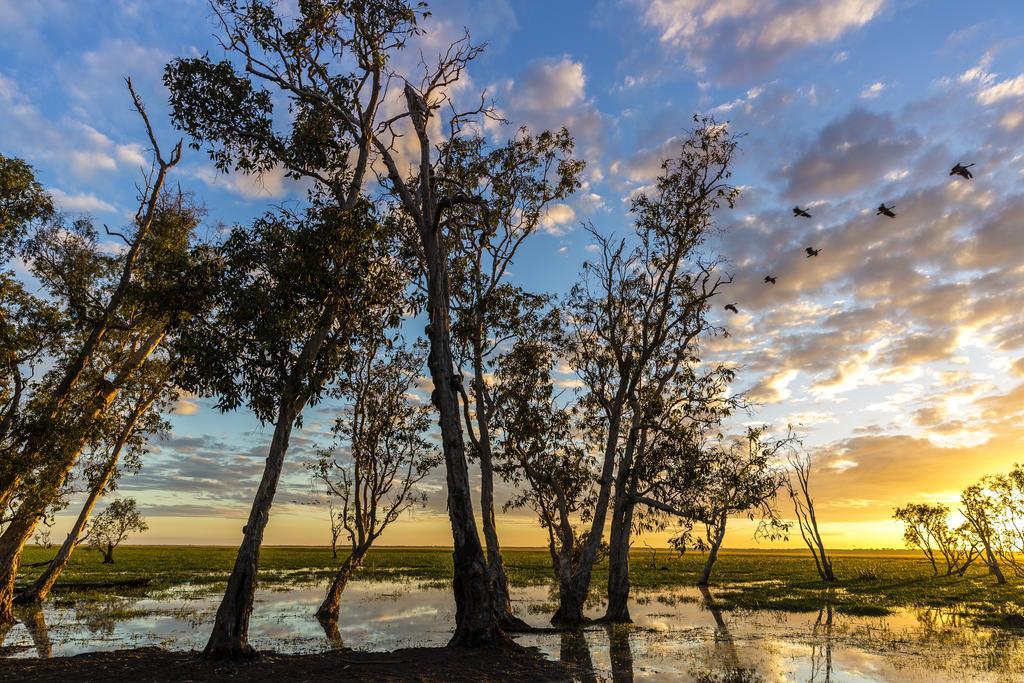 Bamurru Plains Point Stuart Luaran gambar