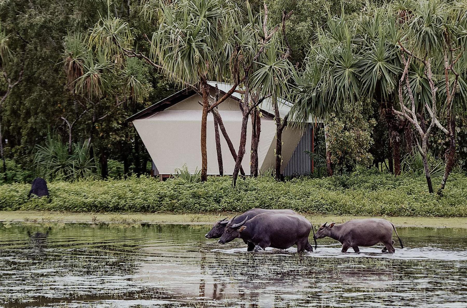 Bamurru Plains Point Stuart Luaran gambar